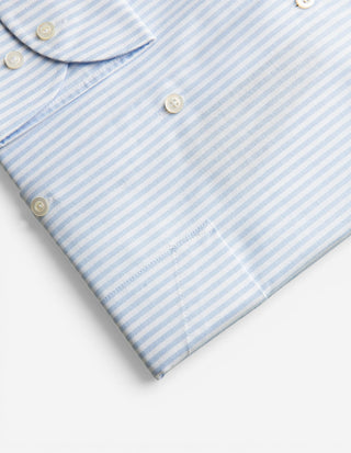 Regular Fit Button Down Oxford Shirt Blå/Vit Randig