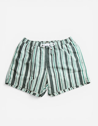 Badshorts Randiga Grön/Vit